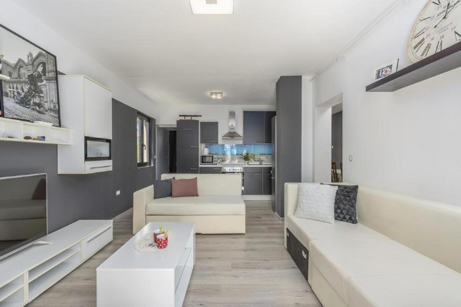 Apartment Zak Novigrad  Luaran gambar